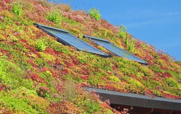 Kinoulton living roof systems